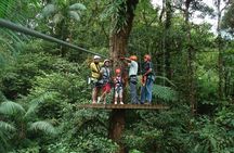 Zip Lining Adventure from San José