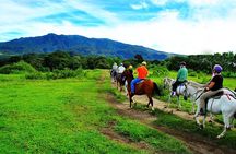 Buena Vista Combo Tour: Ziplining and Hot Springs from Guanacaste