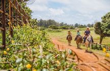 Horseback Ride Like an Authentic Paniolo in Kahuku
