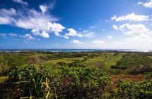 Horseback Ride Like an Authentic Paniolo in Kahuku