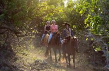 Oahu Sunset Horseback Ride