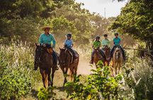 Oahu Sunset Horseback Ride
