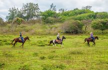 Private Advanced Trail Ride