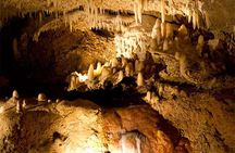 Half-Day Barbados Tour Harrisons Cave Hunte's Garden and Bathsheba 