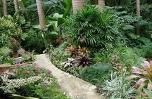 Taste of Barbados Full-Day Sightseeing tour