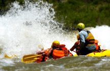 Royal Gorge Rafting Half Day Tour (FREE wetsuit use!) - Class IV Extreme fun!