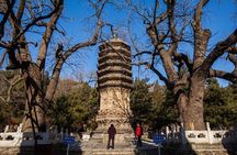 Beijing Private Day Tour to Tanzhe Temple & Marco Polo Bridge
