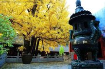 Private Day Tour to Mutianyu Great Wall and Hong Luo Buddhist Temple