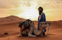 3D/2N Desert tour from Fez to Marrakesh (with small group)