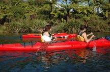 Lake Rotoiti Guided Hot Pools Kayak Trip
