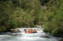 Rangitaiki River White Water Rafting from Rotorua