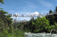 Yukon Suspension Bridge and Summit Tour