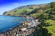 Northern Highlights Full-Day Guided Tour in Northern Ireland