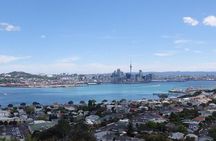 Half-Day: Small Group Auckland Scenic Tour - 4 HOURS