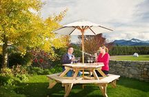 Half-Day Wine Tour from Blenheim