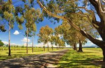 Half-Day Wine Tour from Blenheim