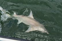 Naples Inshore Fishing Charters