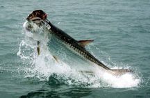 Fort Lauderdale Inshore Fishing Charters