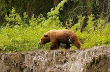 3 hour Turnagain Pass Rafting Float Trip from Hope Alaska