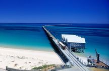 Full-Day Busselton Jetty, Train Ride & Dophin Discovery