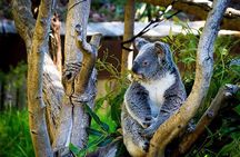 Full-Day Swan Valley, Wildlife Park, Winery & Fruit Orchard