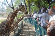Haller Park Half-Day Tour from Mombasa
