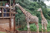 Full-Day Nairobi Tour with Carnivore Restaurant, Blixen Museum, Giraffe Centre,