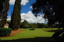 Out of Africa Tour: Giraffe Centre and Karen Blixen Museum from Nairobi