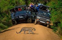 Private 02 Day Leopard Safari in Yala from Colombo
