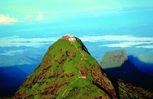 Visit Adam's Peak from Colombo