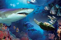 Aquaria KLCC Admission with Kuala Lumpur City Famous Landmarks