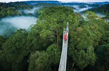 Full Day Trip of Brunei Ulu Temburong National Park including Canopy Walk