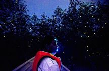 Kuala Selangor Firefly Boat Tour with Roundtrip Transfer from Kuala Lumpur