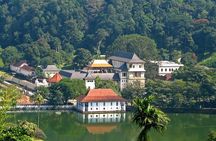 Private Kandy Day Tour from Colombo