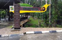 Sarawak Orangutan Semenggoh Wildlife Centre Tour