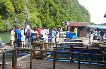 Langkawi Adventure Tour : Mangrove Kayaking with Private Pickup