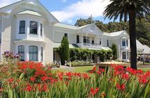 Small Group - Hawke's Bay - Napier Winery Tour - 5.5 hours