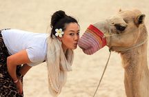 Explore The Sunset or Sunrise at Giza Pyramids By Camel and Horse Riding