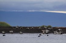 Wild North Iceland Exploration by Super Jeep from Reykjavik