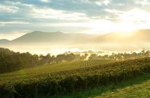 Private Yarra Valley Tour