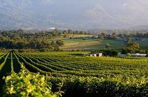 Private Yarra Valley Tour