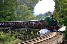 Private Dandenong Ranges Tour including Puffing Billy