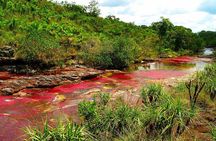 3-Day Caño Cristales (Rainbow River) from Bogotá