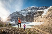 Jasper to Lake Louise One-Way Tour