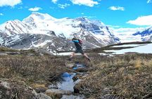 Banff to Jasper One-Way Tour