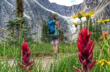  Ultimate Jasper Nature Walk