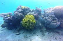 Private day tour: Indonesia Batam Island Reef Snorkel & Kayak from Singapore