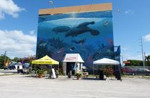 Try Scuba Diving with Professional Scuba Instructor