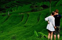 Full Day Wonders of Bali Private Tour with Pickup and Lunch