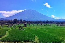 Full Day Wonders of Bali Private Tour with Pickup and Lunch